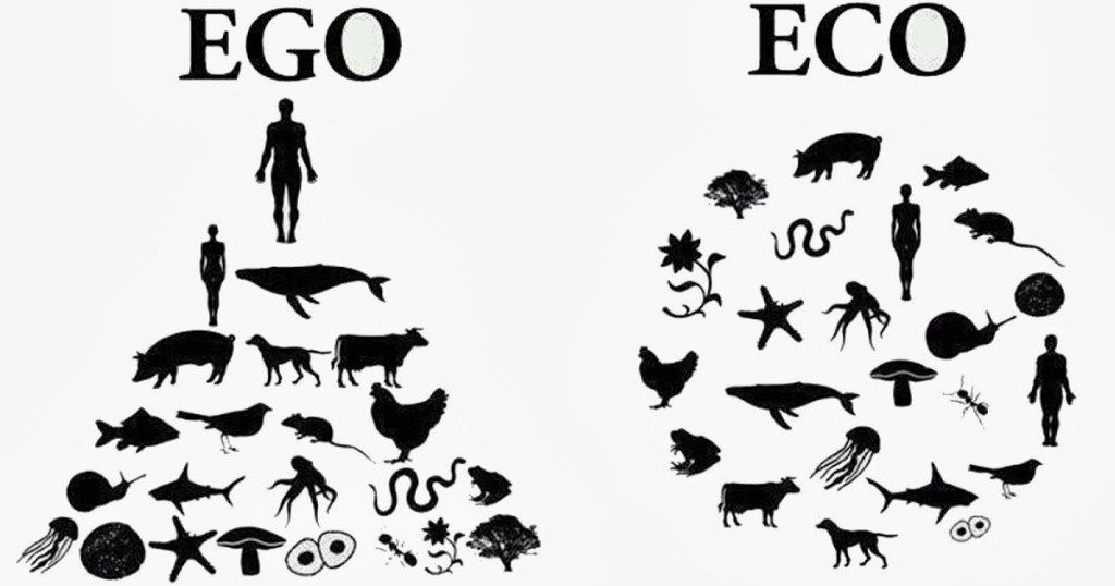 ego vs eco